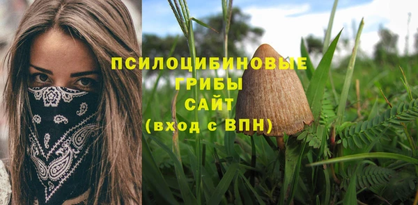 первитин Михайлов
