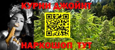 ешки Камышлов