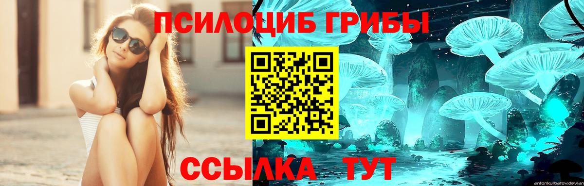 Галлюциногенные грибы мицелий  Псилоцибиновые грибы Cubensis  Вход с VPN  Нальчик 